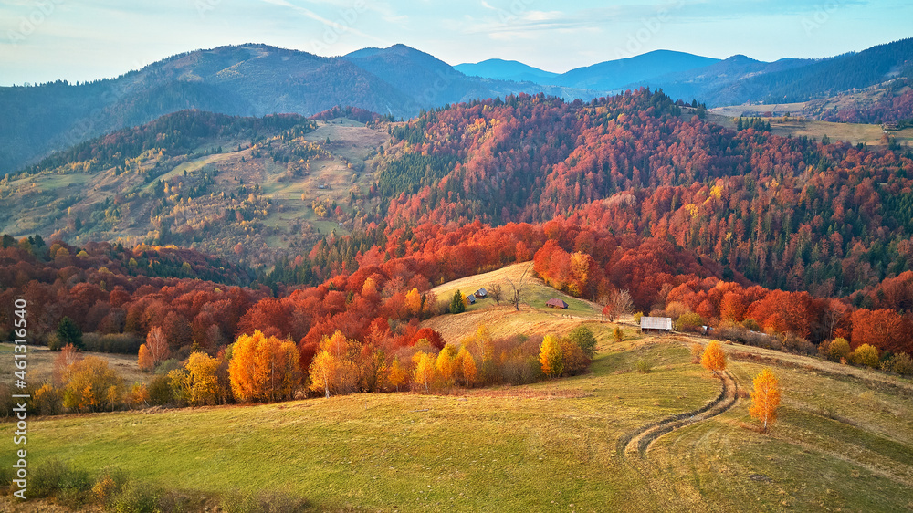 Beautiful mountain autumn panorama landscape with meadow and colorful forest