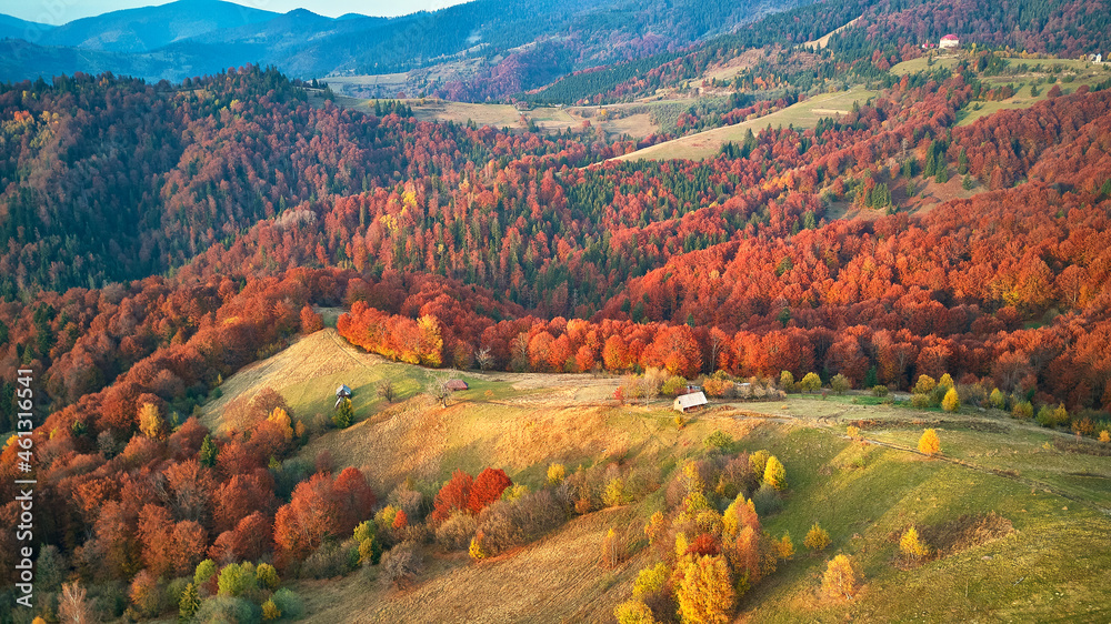 Beautiful mountain autumn panorama landscape with meadow and colorful forest