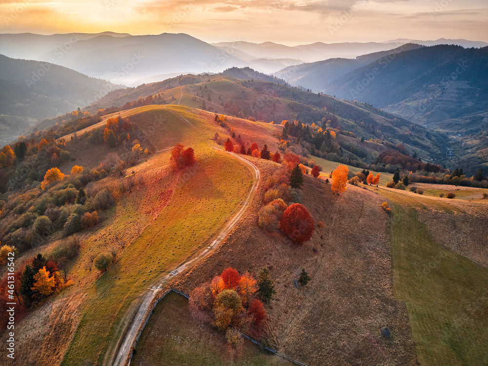 Beautiful mountain autumn landscape with meadow and colorful forest. Red, Yellow, Orange trees on hillsides