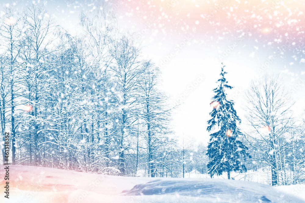 Frozen winter forest with snow covered trees. Frozen winter forest with snow covered trees.