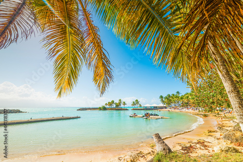 Palm trees and colorful shore in Bas du Fort beach © Gabriele Maltinti