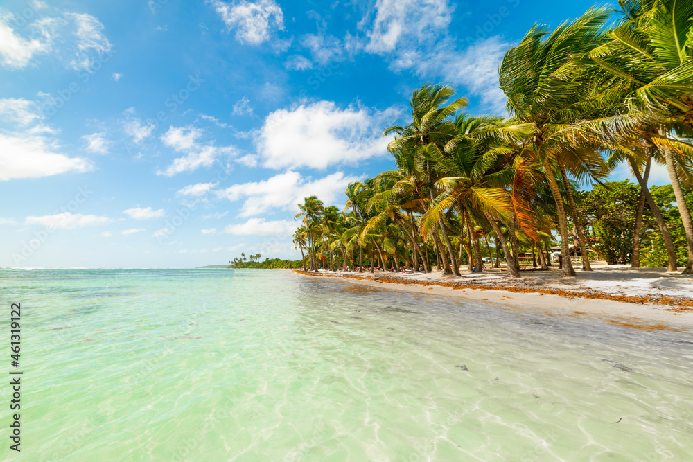 Obraz premium Bois Jolan beach in Guadeloupe