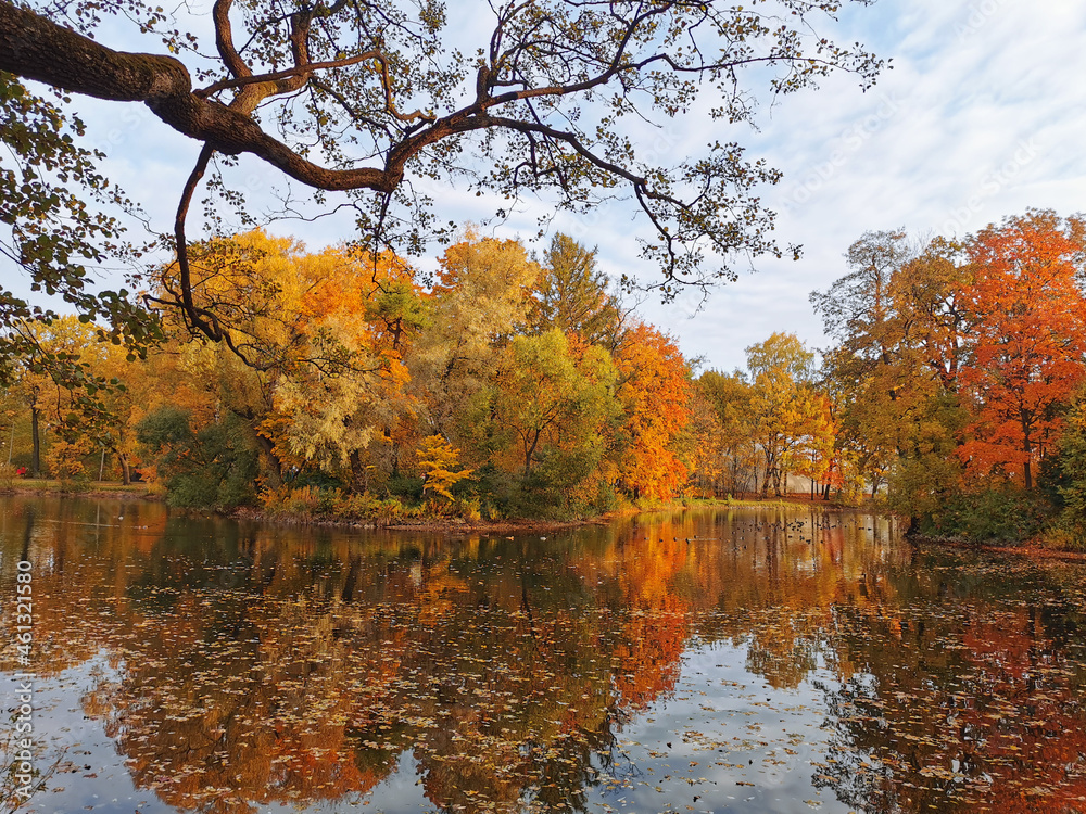 Fototapeta premium Autumn in the park. Trees with bright, already falling leaves are reflected in the pond water along with the sky and beautiful clouds.