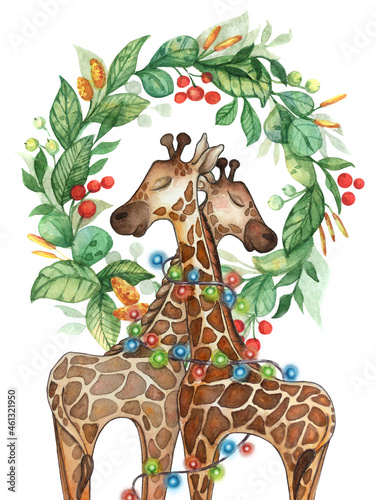 Photography Christmas watercolor illustration of two cute giraffes and festive new year wrea