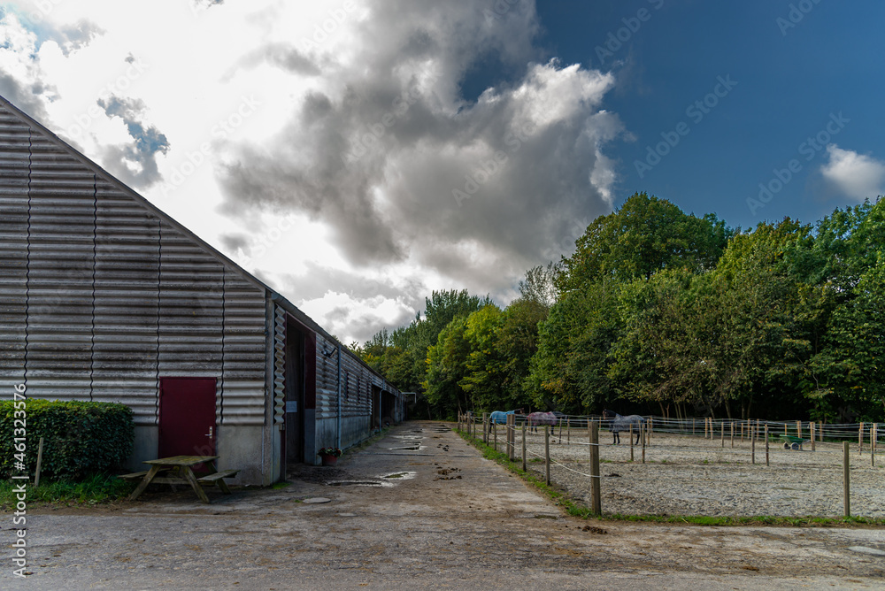 The new horse stables used for international competitions, at the National Riding Center Vilhelmsborg The new horse stables used for international competitions, at the National Riding Center Vilhelmsborg