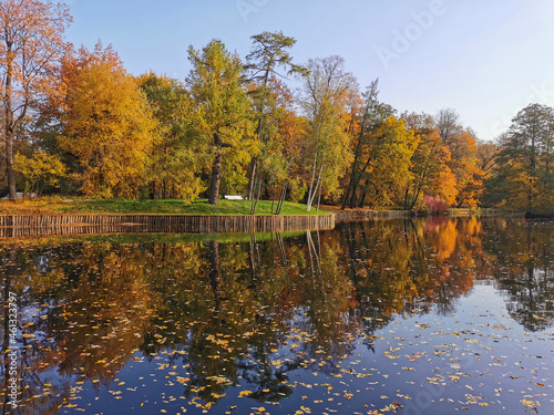 Autumn in the park. Trees with bright, falling leaves grow on the shore of the pond and are reflected in its water. © Elena