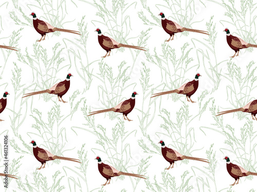 Seamless pattern with hand drawn pheasants and plants, grass on a white background