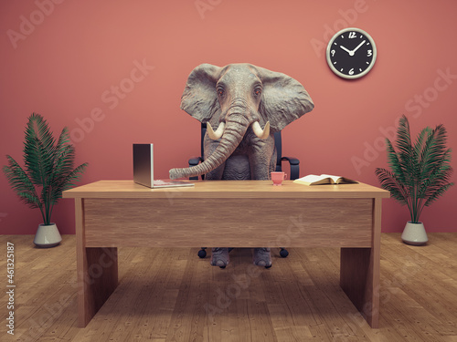 Photography Elephant sits at the office.