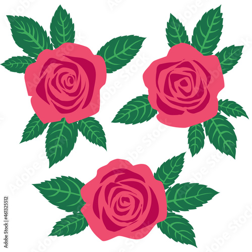 Vector illustration, roses, top view.