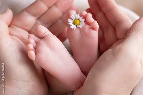 Newborn feet in mom's palms. Small foot in the hands of a parent. Symbol of love and care of parents for their child.