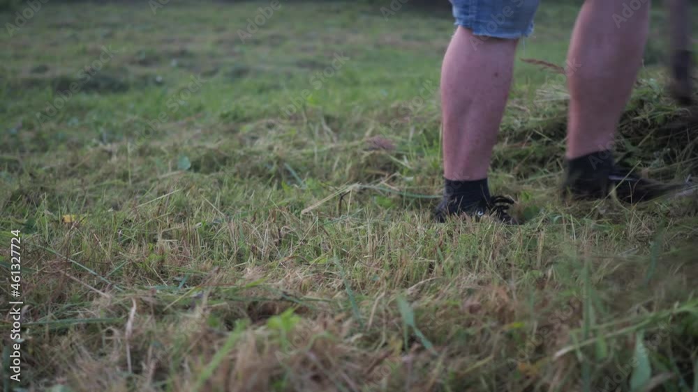 raking the plot from freshly mown grass. summer mowing. cleaning of the territory raking the plot from freshly mown grass. summer mowing. cleaning of the territory