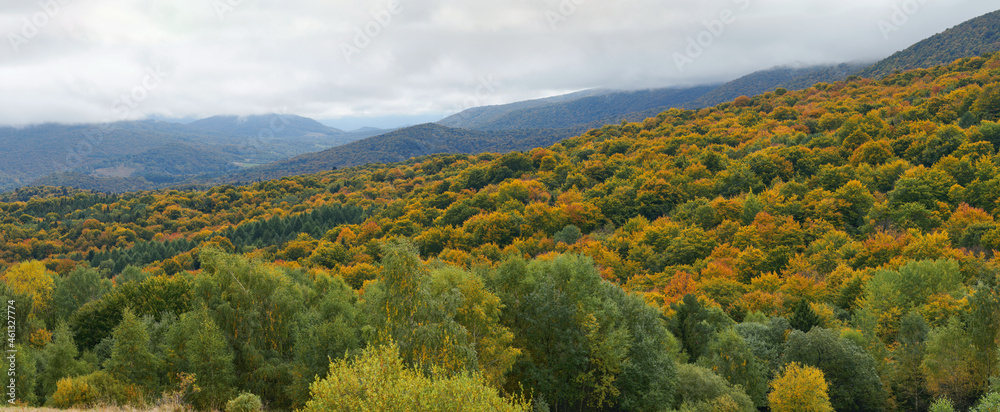 Obraz na płótnie Jesień w Bieszczadach. Drzewa w kolorach złotym, czerwonym, zielonym, żółtym. Panorama. w salonie