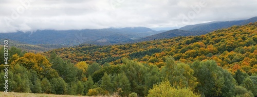 Jesień w Bieszczadach. Drzewa w kolorach złotym, czerwonym, zielonym, żółtym. Panorama.