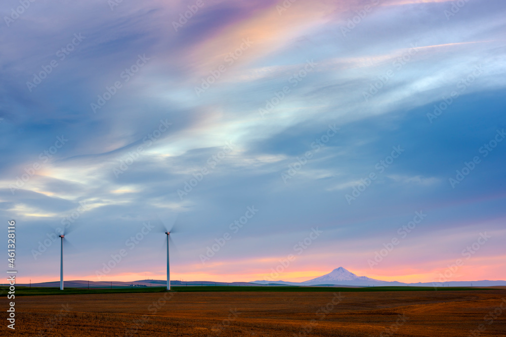 WInd Turbines on wheat field at sunset