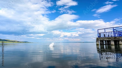 Time-lapse view on the Balaton Lake and the swans and ducks swimming on a cloudy sunny day.