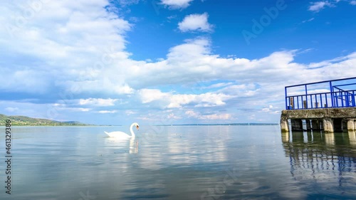 Time-lapse view on the Balaton Lake and the swans and ducks swimming on a cloudy sunny day.
