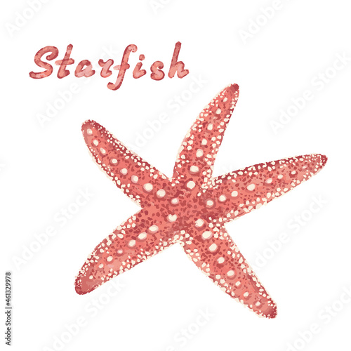 Starfish isolated on a white background. Hand-drawn sketch.