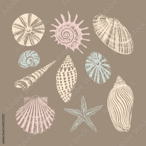 Set of ten seashells. Black ink brush texture.