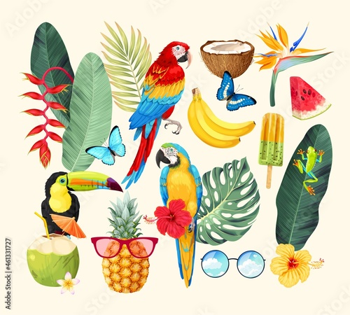 Vector set of tropical flora and fauna