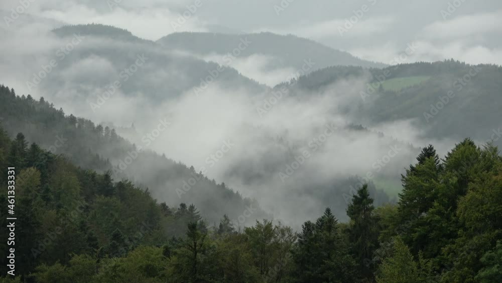 Nebelstimmung im Schwarzwald, Herbst. Nebelstimmung im Schwarzwald, Herbst.