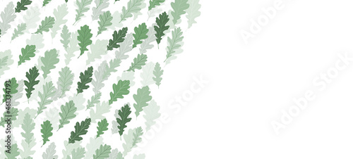 Floral web banner with drawn color exotic leaves. Nature concept design. Modern floral compositions with summer branches. Vector illustration on the theme of ecology, natura, environment