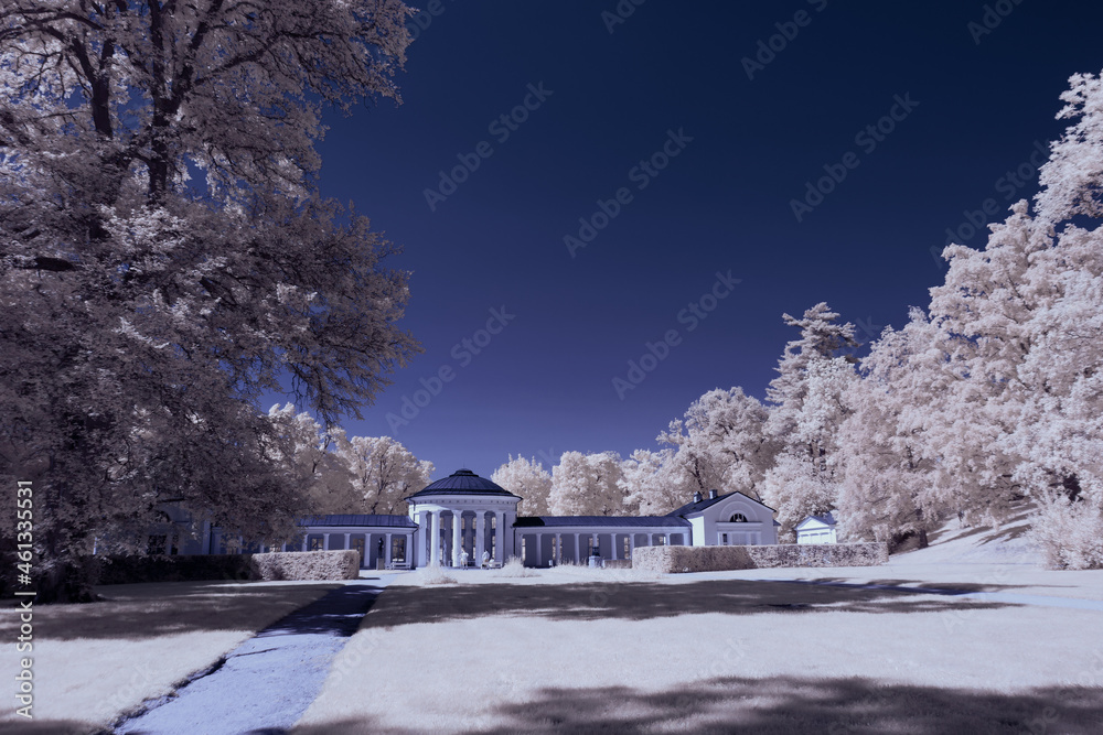 Fototapeta premium infrared photography - surreal ir photo of landscape with trees under cloudy sky - the art of our world and plants in the invisible infrared camera spectrum