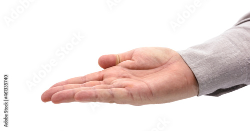 businessman hand on isolated white background in gesture of receiving or offering something