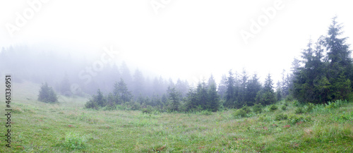 Foggy morning in the forest. Spring weather with meadow and trees covered with fog. High altitude mountain plateau climate.