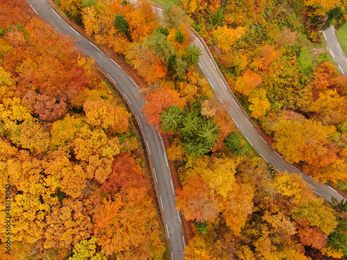 TOP DOWN: Flying above a empty scenic switchback forest road on sunny fall day.