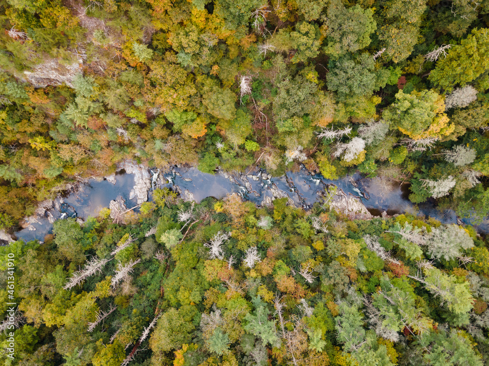 Aerial View of River Flowing through Pisgah National Forest in North Carolina in the Fall