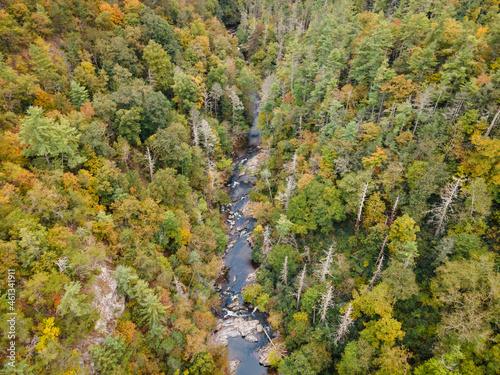 Aerial View of River Flowing through Pisgah National Forest in North Carolina in the Fall