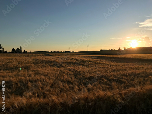 Sonnenuntergang   ber dem Feld