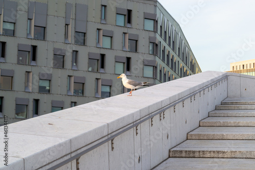 Operahuset i Oslo // Oslo Opera House photo