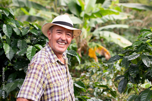 Portrait of a smiling senior farmer. Coffee farmer wearing hat. Happy old man in a Colombian coffee crop. photo