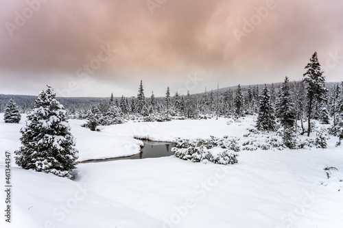 Winter in Jizera Mountains. Snowy landscape with trees and small creek. Czech Republic