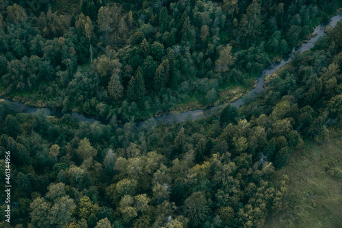 aerial view of forest at autumn