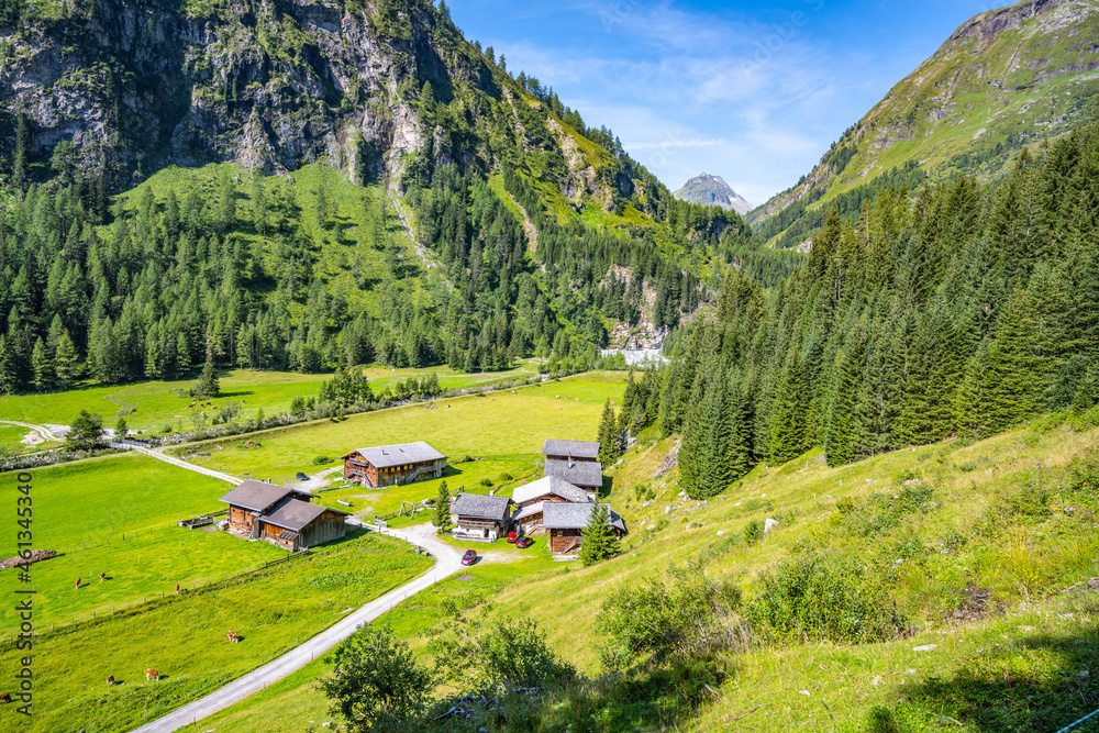Idyllic farm house and green meadow pasture in alpine valley, Hohe Tauern, Austrian Alps Idyllic farm house and green meadow pasture in alpine valley, Hohe Tauern, Austrian Alps