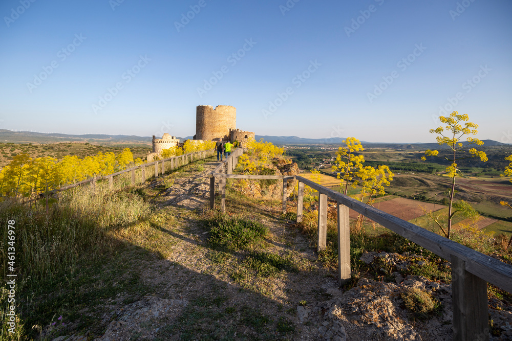 The historic town of Moya on hill during the flowering of  the ferula communis flowers in June 2021   Cuenca Castile La Mancha Spain