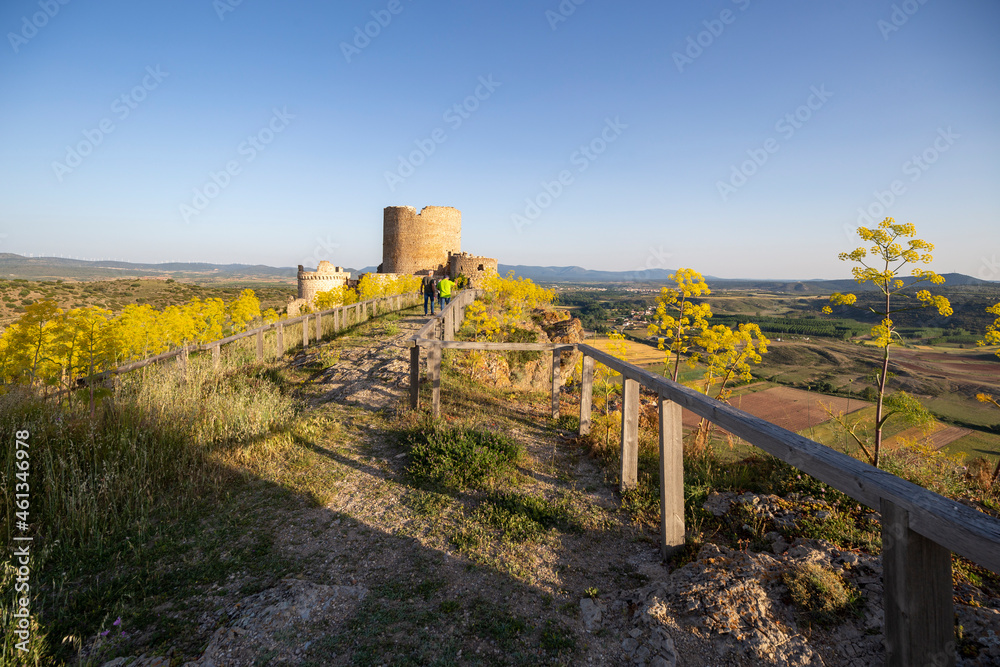 Fototapeta premium The historic town of Moya on hill during the flowering of the ferula communis flowers in June 2021 Cuenca Castile La Mancha Spain
