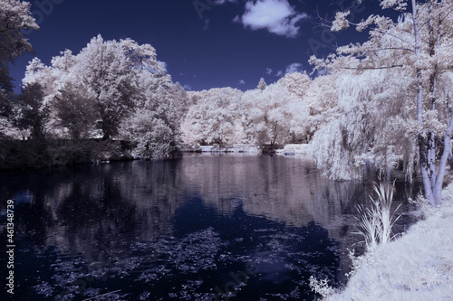 infrared photography - surreal ir photo of landscape with trees under cloudy sky - the art of our world and plants in the invisible infrared camera spectrum