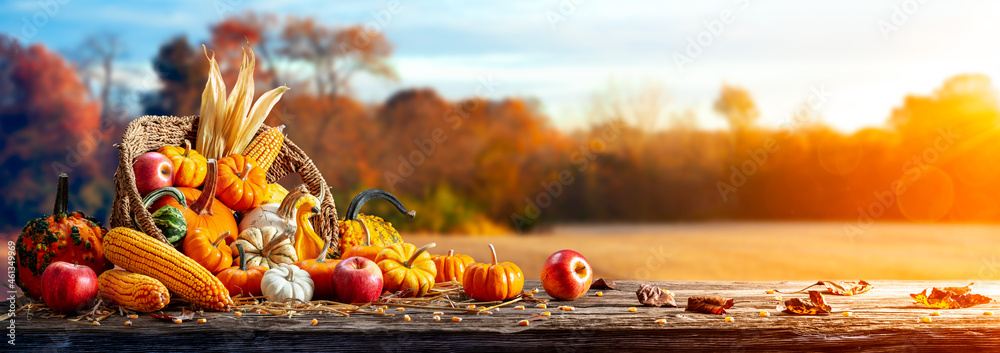Basket Of Pumpkins, Apples And Corn On Harvest Table With Field Trees And Sky Background - Thanksgiving - obrazy, fototapety, plakaty 
