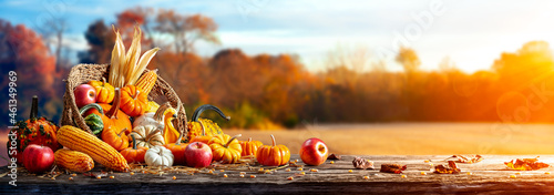 Fotografia Basket Of Pumpkins, Apples And Corn On Harvest Table With Field Trees And Sky Ba
