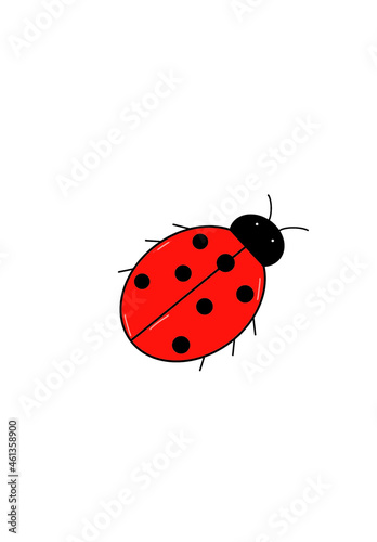 Ladybug (Coccinellidae) with red wings on a white isolated background