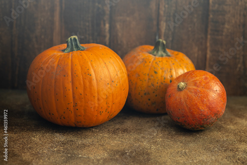 Thanksgiving day or Halloween background, orange harvested pumpkins in autumn