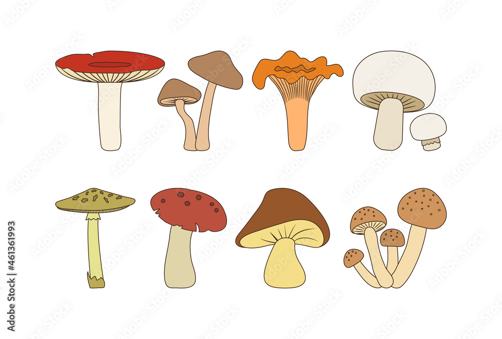 Cartoon autumn editable mushroom icon set. Food vector illustration