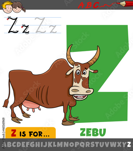 letter Z from alphabet with cartoon zebu animal character photo