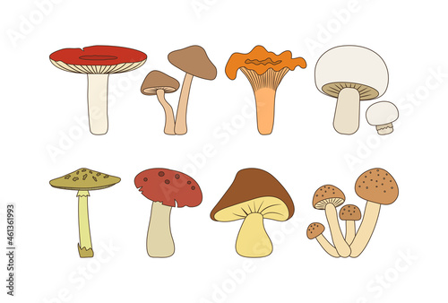 Cartoon autumn editable mushroom icon set. Food vector illustration