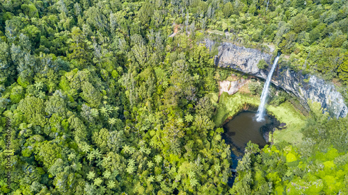 autiful waterfall in the middle of native forest. North Island, New Zealand.