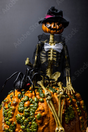 Textured pumpkin and Halloween pumpkin head ghoul with black widow spider