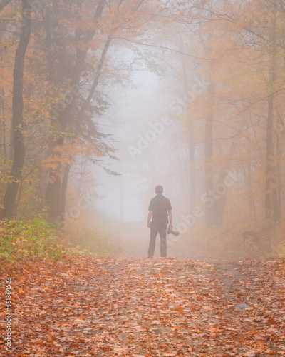 Autumn scenes under fogy day 